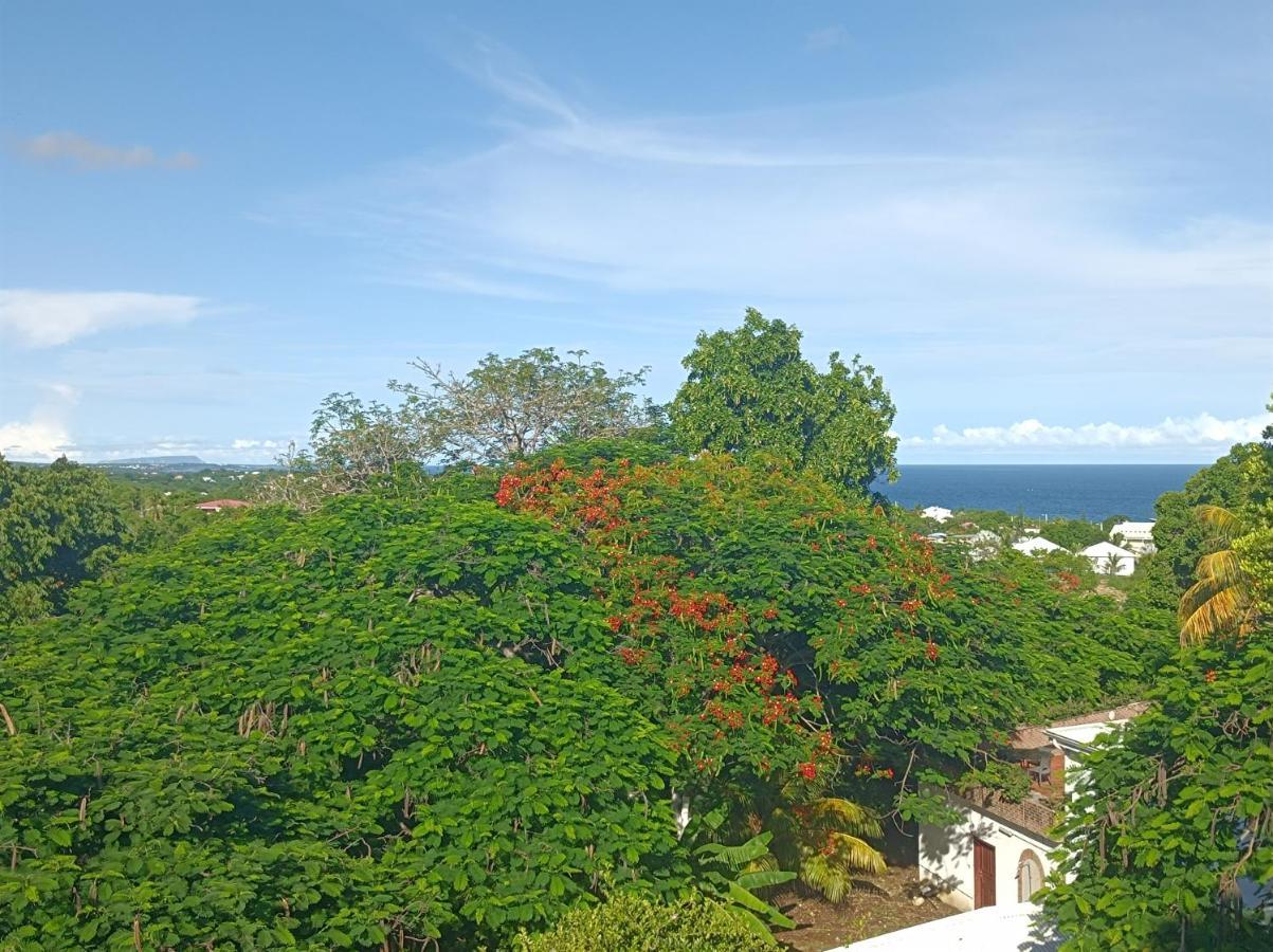 Chez Madeline Apartment Le Gosier  Bagian luar foto